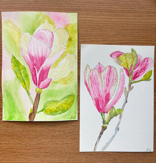 2 different versions of magnolias