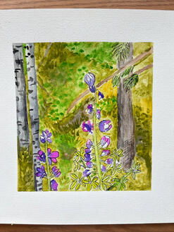 Alaskan wildflowers
