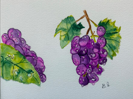 Grapes