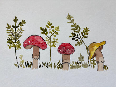 Ferns and mushrooms