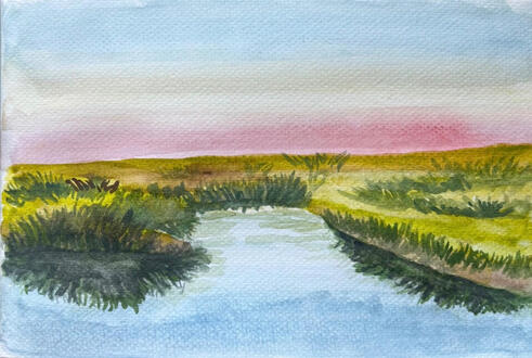 A marshland somewhere in USA