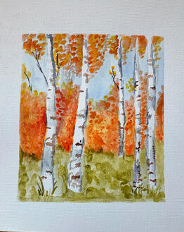 Birch trees in fall time
