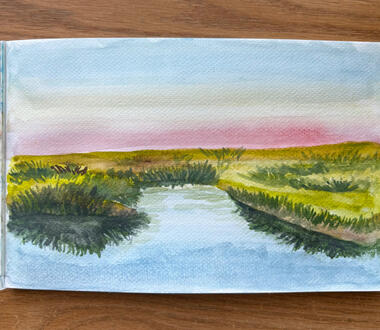 A marshland somewhere in USA