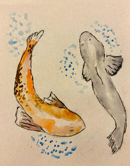 Koi fish