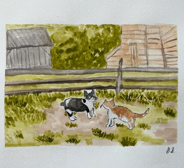 Two cats in Holmdel Park